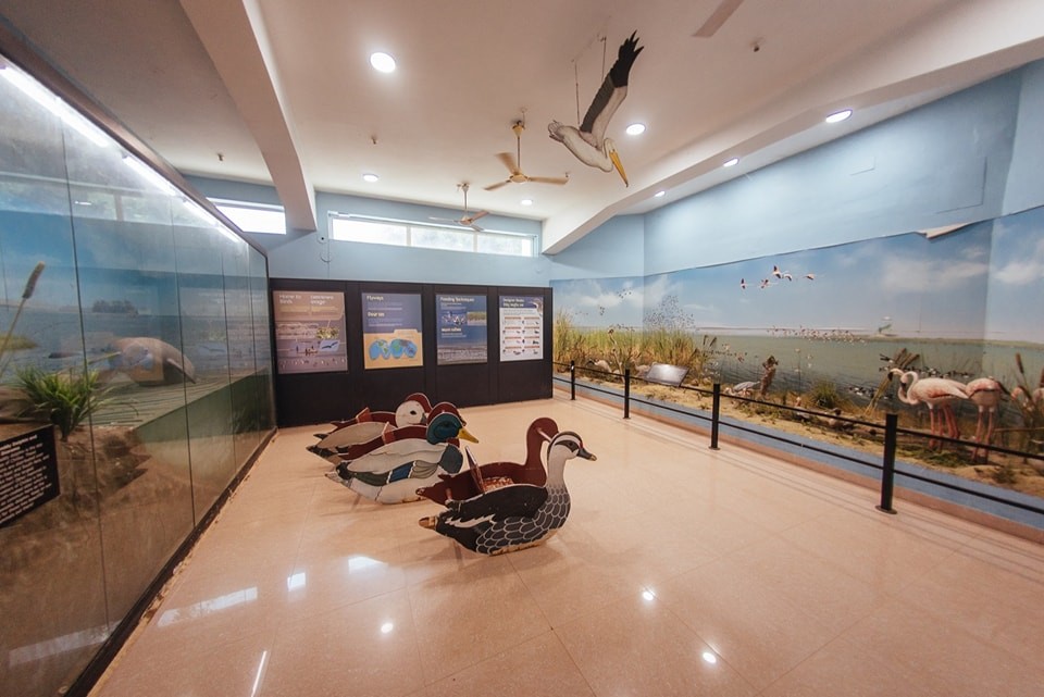 Chilika Lagoon