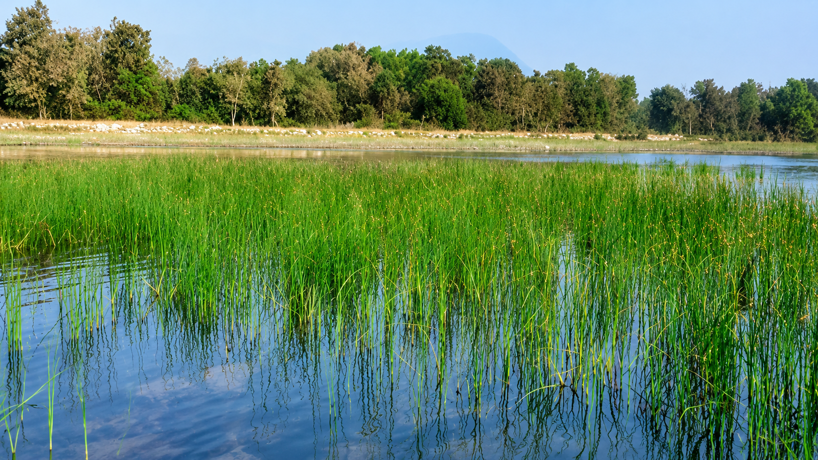 Chilika Lagoon