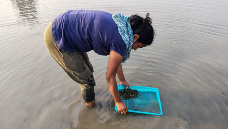 Chilika Lagoon